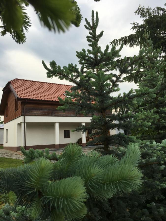 Pokoje Kasztanowa Wilkasy Eksteriør bilde